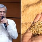 wheat-msp-1790762921